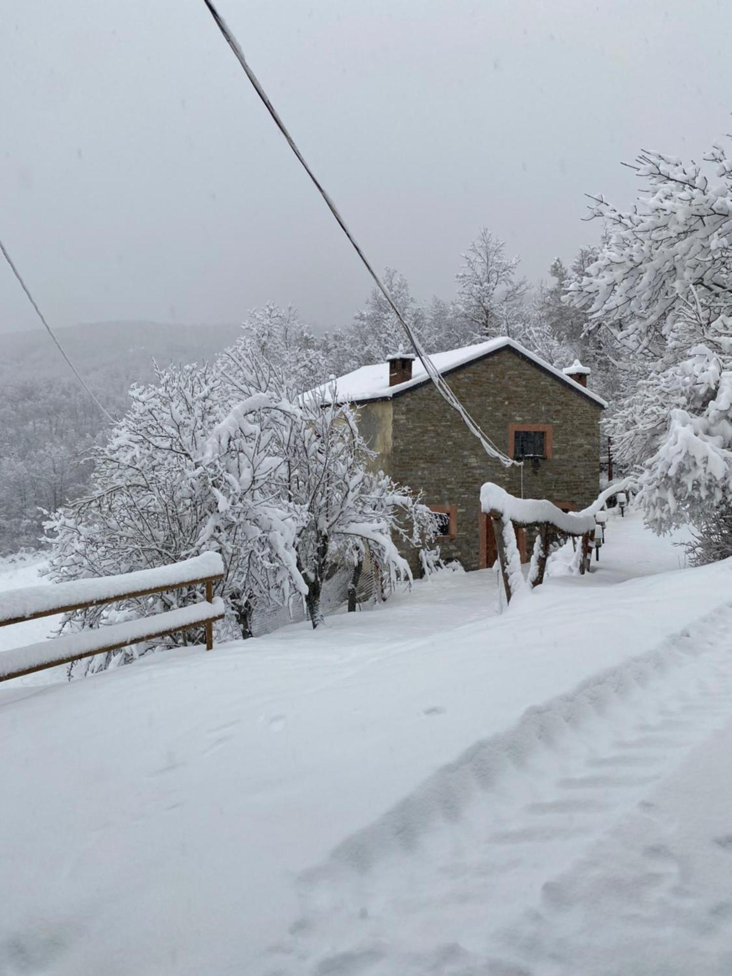 Bed and Breakfast La Lupa E L'Orso Berceto Esterno foto